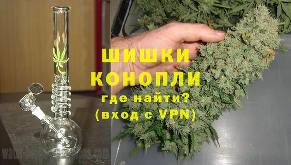 молекула духа Осинники