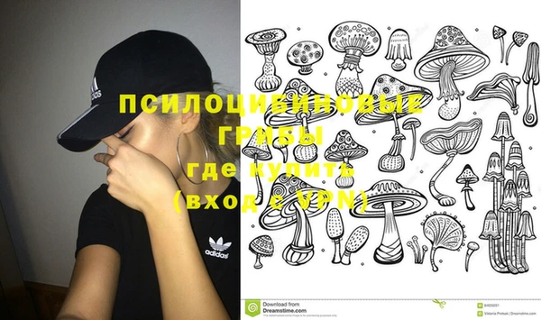 индика Остров