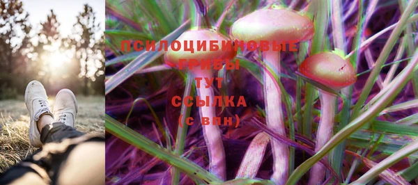 гидра Весьегонск