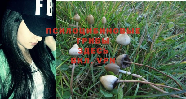 молекула духа Осинники