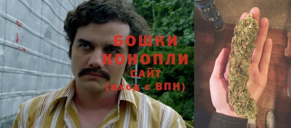 индика Остров