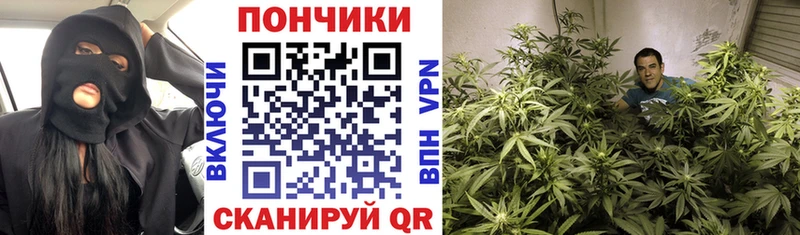 Канабис планчик  kraken ссылки  Сосновка 